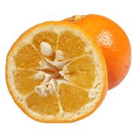نارنج.
