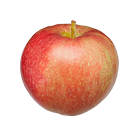 سیب قرمز دماوندی درجه 2
